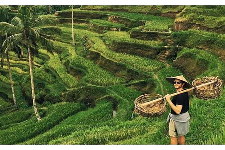 Best of Ubud Tour Package ( Private Tour) - Image 2