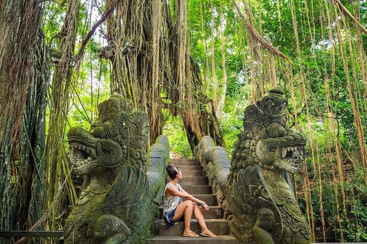 Best Of Ubud Tours Highlith - Image 3