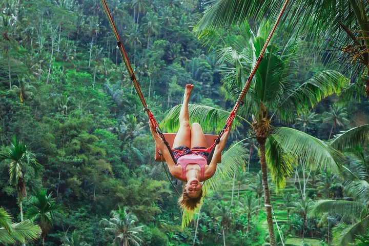 Best of Ubud: Waterfall, Rice Terraces & Monkey Forest - Image 3