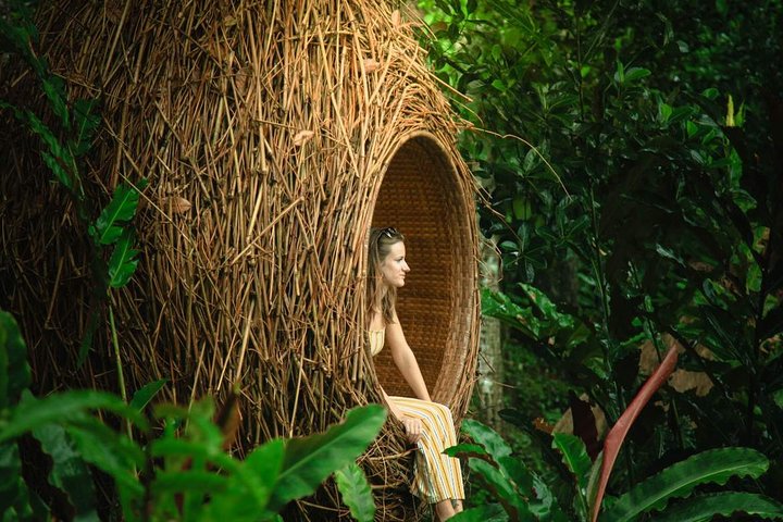 Best of Ubud: Waterfall, Rice Terraces & Monkey Forest - Image 2