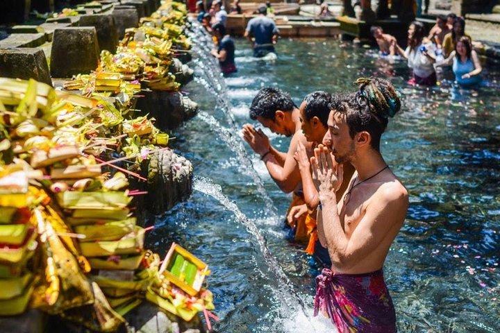 Best of Ubud: Waterfall, Rice Terraces & Monkey Forest - Image 5