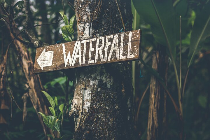 Best of Ubud Waterfalls Private Tour - Image 4