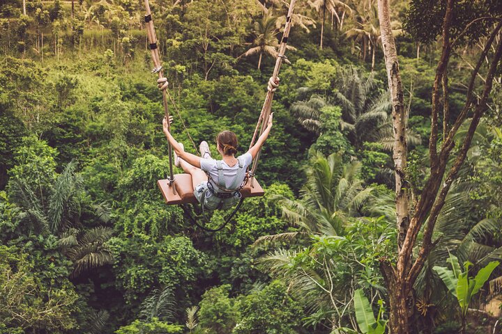 Best of Ubud with Jungle Swing Tour - Image 2