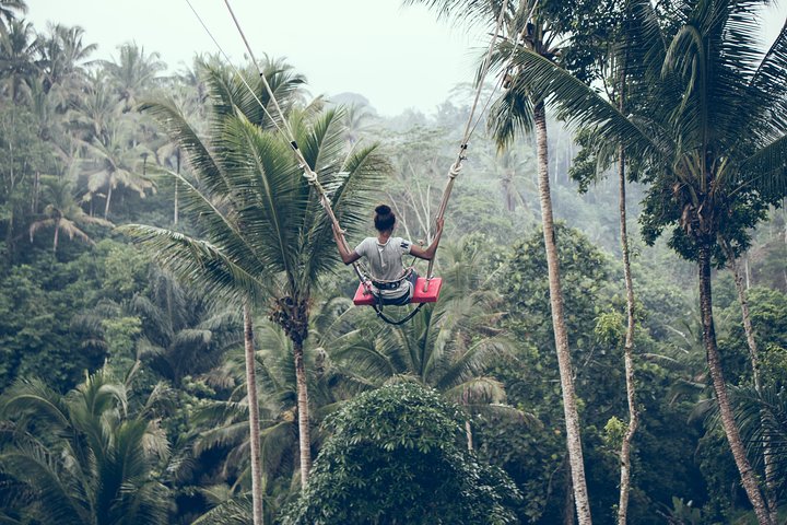Best of Ubud with Jungle Swing Tour - Image 1