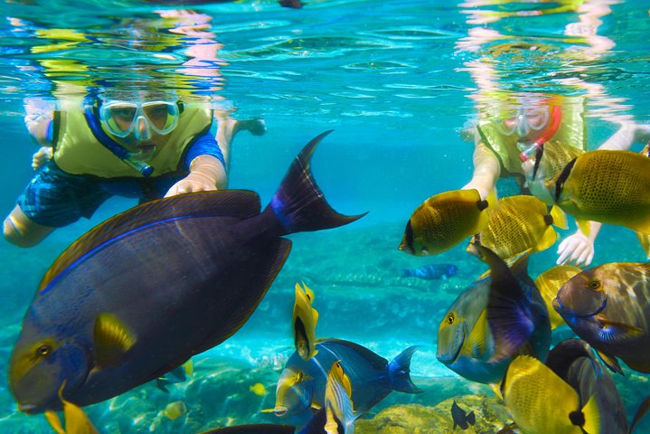 Bloo Lagoon Snorkeling East Bali Includes Transportation & Lunch - Image 4