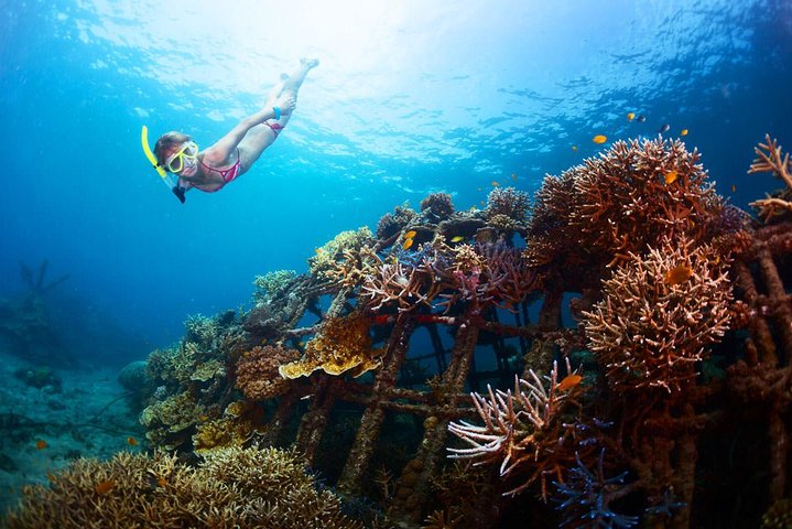 Bloo Lagoon Snorkeling East Bali Includes Transportation & Lunch - Image 5