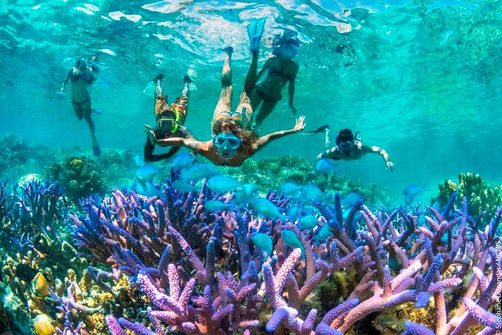 Bloo Lagoon Snorkeling East Bali Includes Transportation & Lunch - Image 1