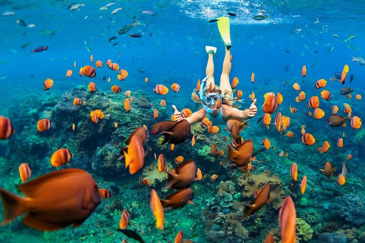 Bloo Lagoon Snorkeling & Lempuyang Temple Tour - Image 2