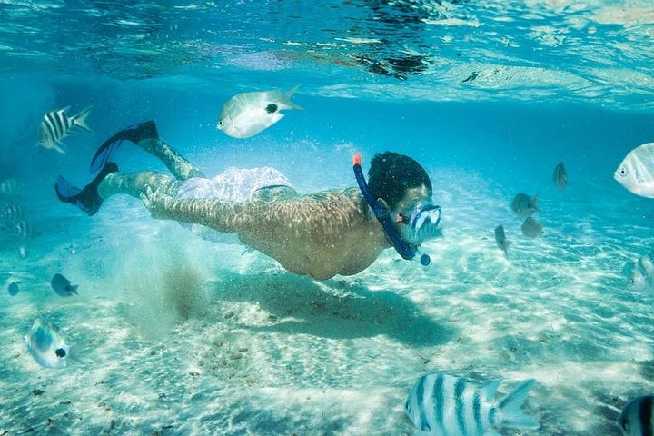 Blow Lagoon Bali Snorkeling and see Bali Bats Cave Temple - Image 2