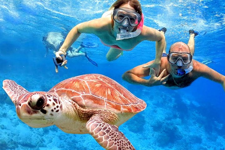 Blow Lagoon Bali Snorkeling and see Bali Bats Cave Temple - Image 1
