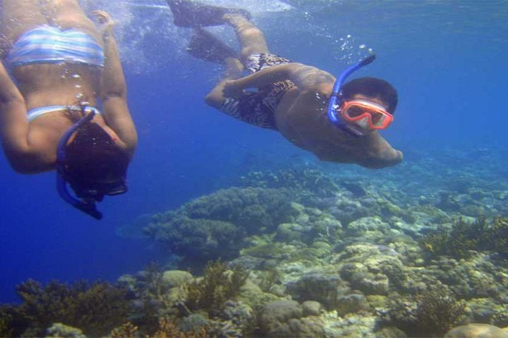 Blue Lagoon Bali Snorkeling Activities all inclusive - Image 4