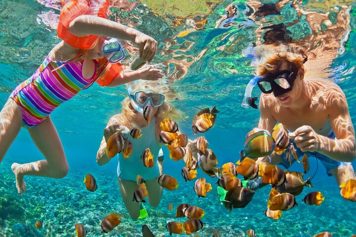 Blue Lagoon Snorkeling - Cave Waterfall - And More - All Included + FREE Wi-Fi - Image 1