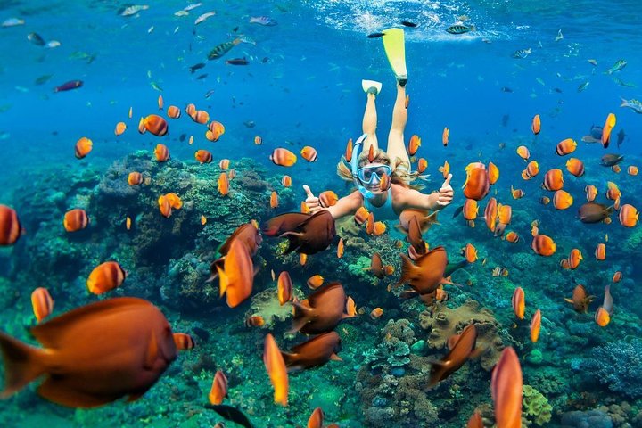 Blue Lagoon Snorkeling - Jungle Swing - Ubud - All Inclusive - Image 1
