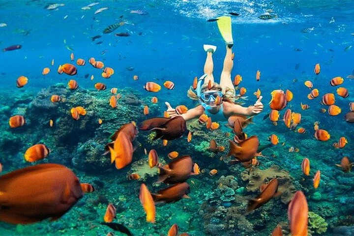 Combination Tour: Ayung river rafting With Blue Lagoon Snorkeling - Image 5