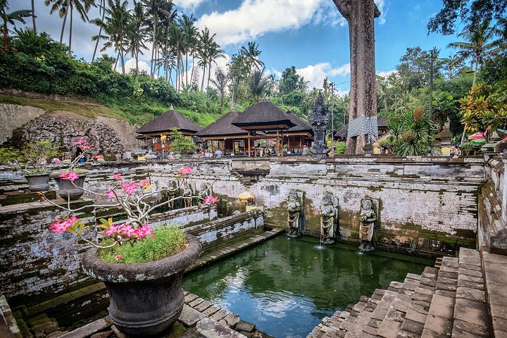 Custom Private Tour: Experience East Bali - Image 5