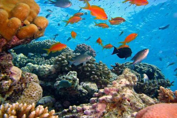 Day Trip: Lempuyang Temple &Tirta Gangga with Snorkeling at Blue Lagoon beach - Image 3