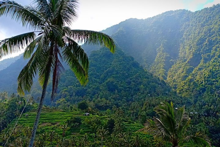 Discover Lovina and sekumpul waterfall - Image 2