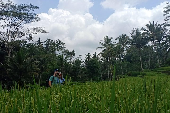 Discover Lovina and sekumpul waterfall - Image 3