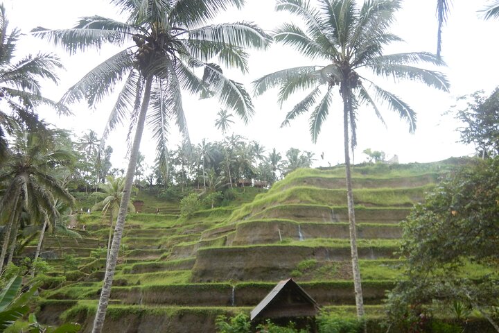 Explore Ubud  - Image 2