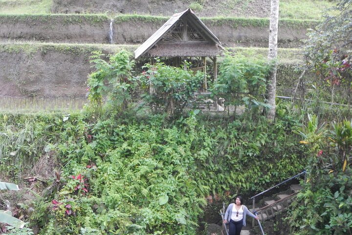 Explore Ubud  - Image 3