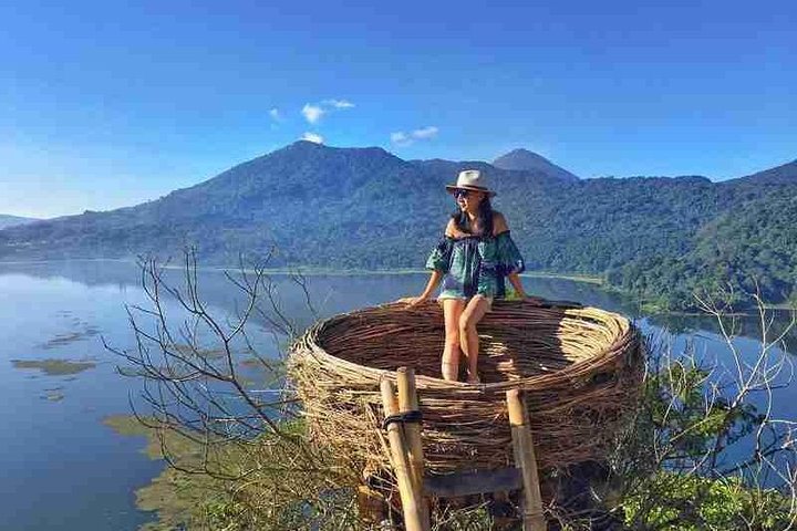Full-Day Bali Highlights with Dolphin Tour - Image 4