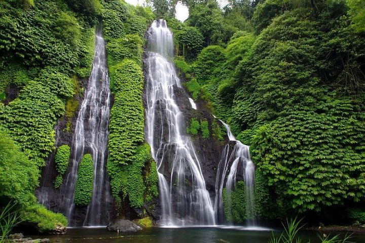 Full-Day Bali Highlights with Dolphin Tour - Image 3