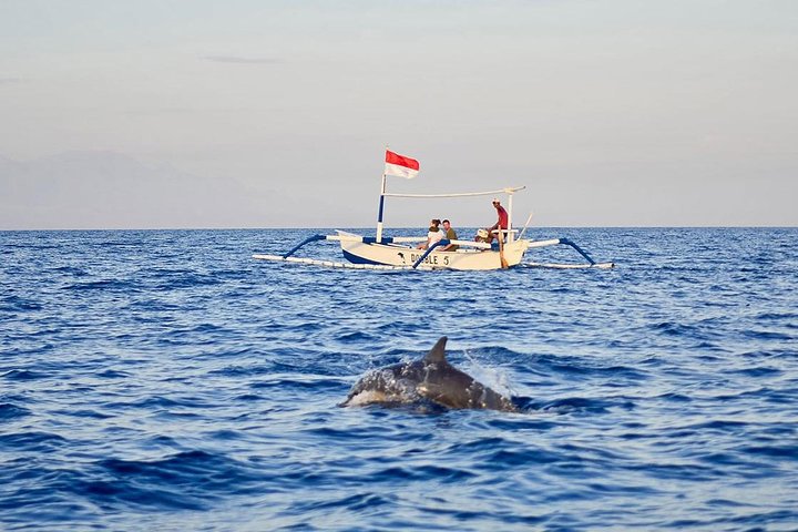 Full-Day Bali Highlights with Dolphin Tour - Image 2