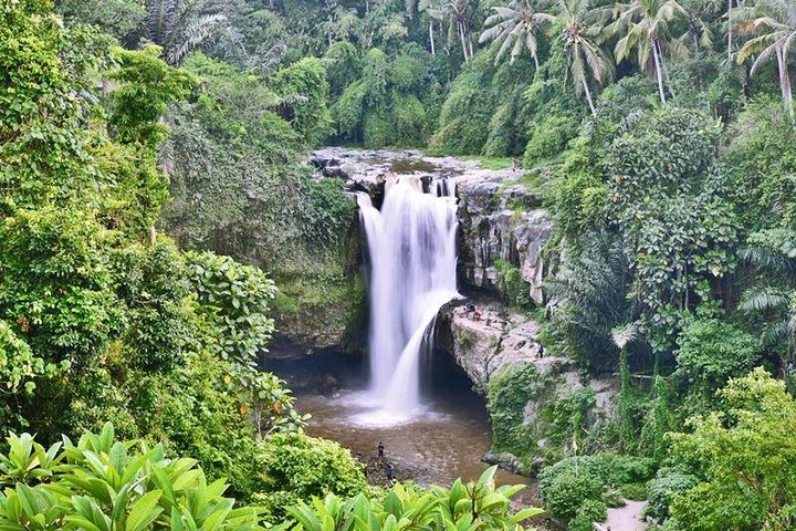 Full Day Bali Private: All About The Ubud Artisan Tour - Image 5