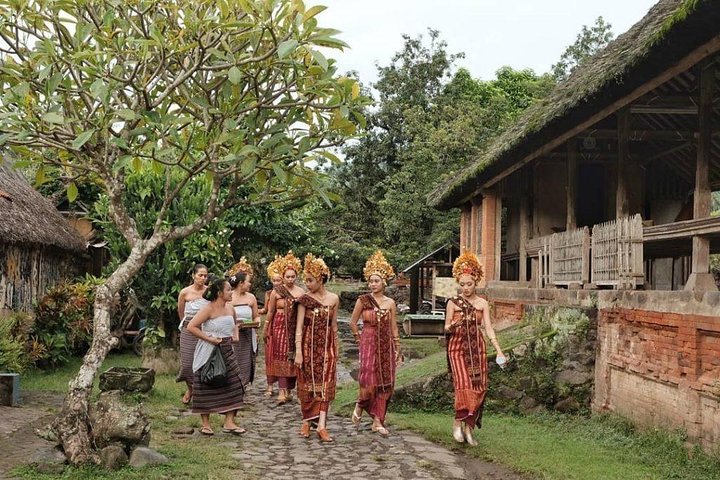 Full-Day Customized Amazing Private Tours in Bali - Image 4
