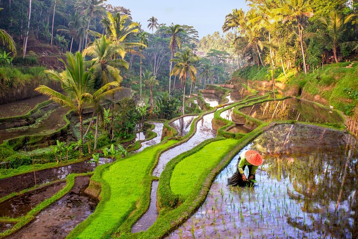 Full-Day in Bali: Private Custom Tour by Minibus - Image 2