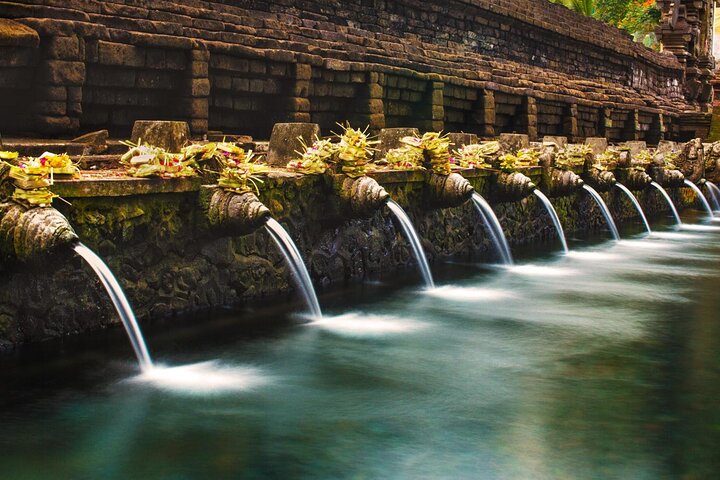 Full Day Private Tour in Ubud Indonesia - Image 3