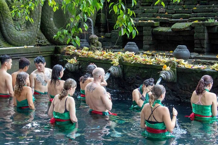 Full Day Private Tour in Ubud Indonesia - Image 5