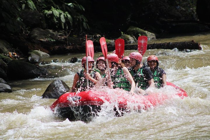 Full-Day Tour: White Water Rafting and Highlight of Ubud with All-inclusive - Image 2