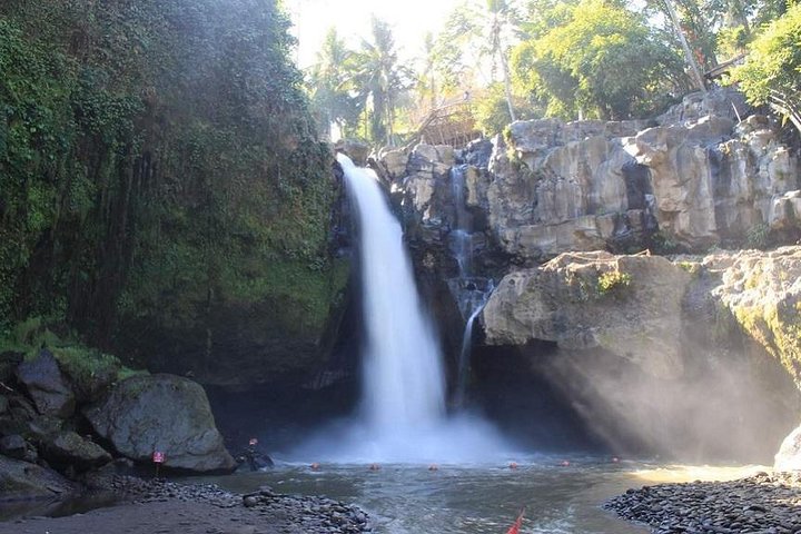 Highlights of Ubud: Nature, Rice Terrace, Waterfall, Temple and more - Image 4