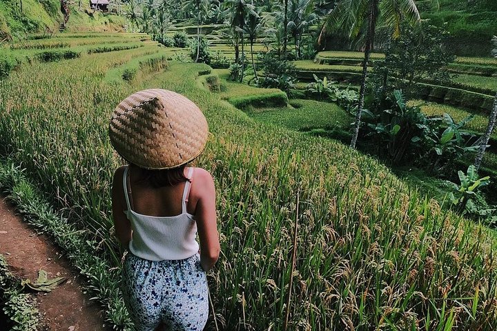 Highlights of Ubud: Nature, Rice Terrace, Waterfall, Temple and more - Image 1