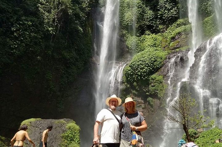 Jatiluwih rice terraces,ulundanu and sekumpul waterfall trips - Image 1