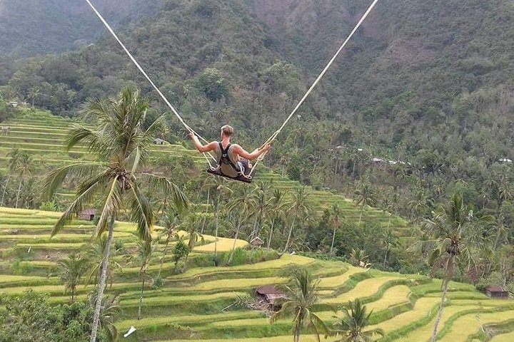 Jatiluwih rice terraces,ulundanu and sekumpul waterfall trips - Image 3