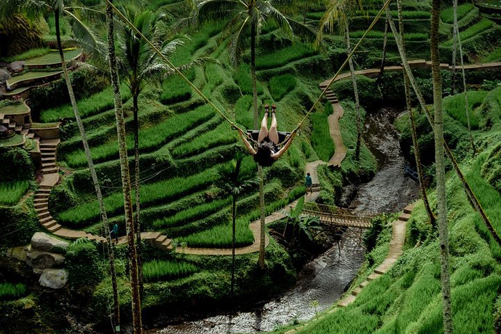 Jungle Swing and waterfall tour - Image 1