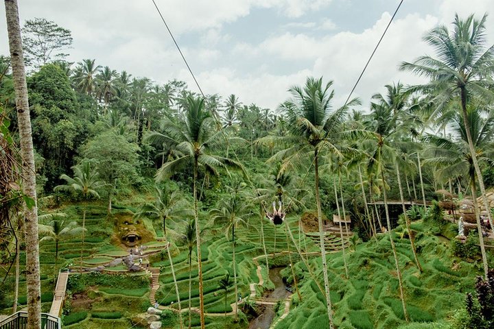 Jungle Swing and waterfall tour - Image 5
