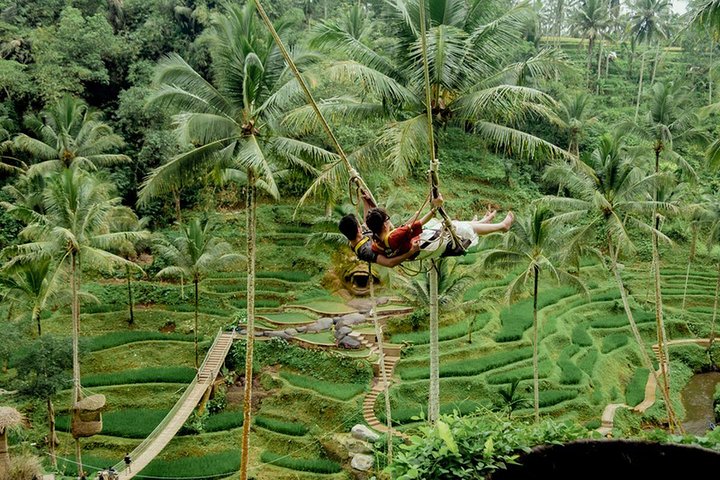 Jungle Swing and waterfall tour - Image 4