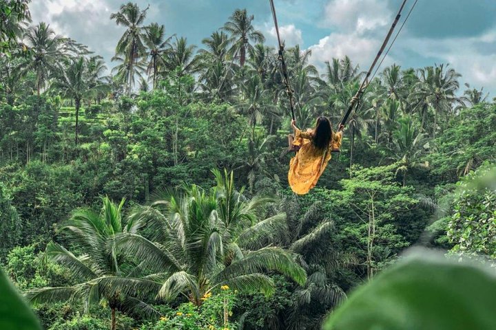 Jungle Swing and waterfall tour - Image 2