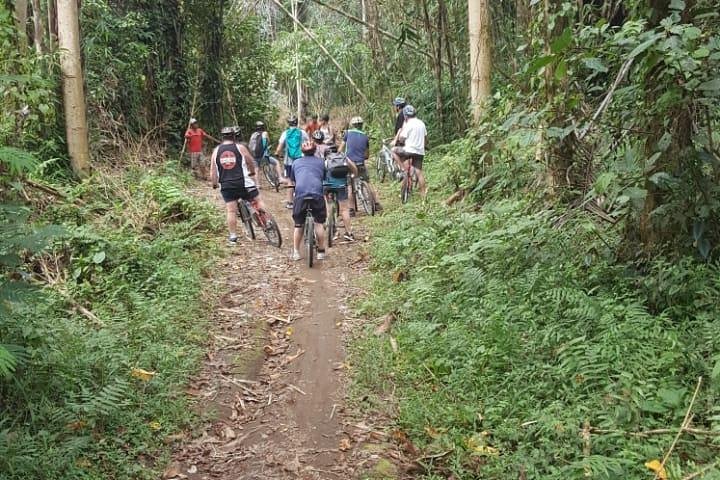 Kintamani volcano and Ubud Cycling and Biking Trail Through the Essence of Bali - Image 3
