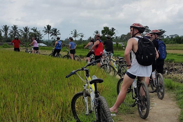 Kintamani volcano and Ubud Cycling and Biking Trail Through the Essence of Bali - Image 1
