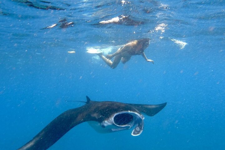  Lembongan Snorkeling and Island Tour - Image 4