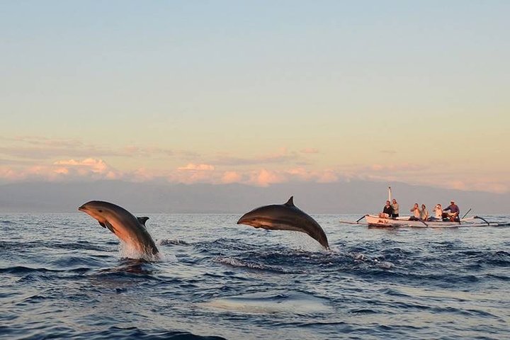 North Bali Sunrise Tour With Dolphins, Instagram Wanagiri & Waterfalls - Image 2