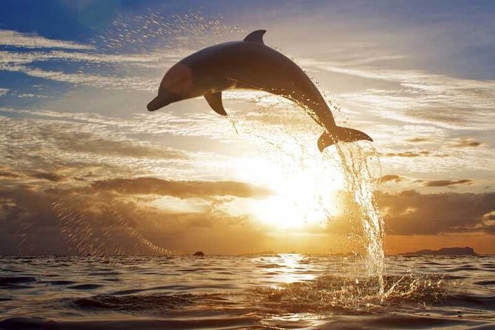 North Bali Sunrise Tour With Dolphins, Instagram Wanagiri & Waterfalls - Image 1