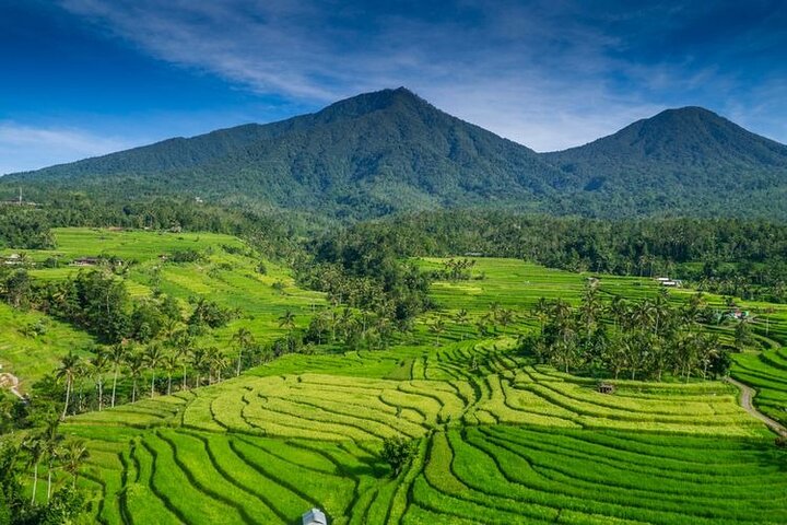  Northern Bali Highlight and Tanah Lot Temple Tour -All Inclusive - Image 5