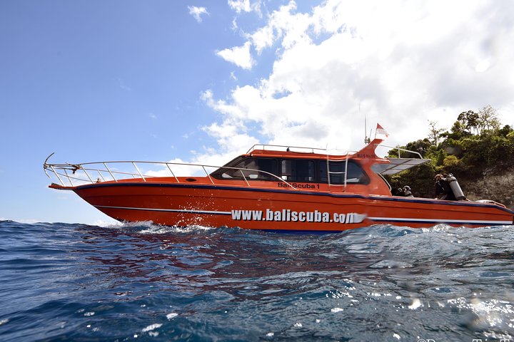 Nusa Penida Day Trip for 3 dives - Image 2