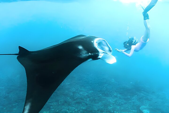 Nusa Penida Island Beach Tours with Snorkeling - Image 2