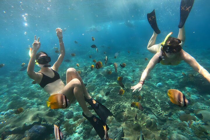 Nusa Penida Island Beach Tours with Snorkeling - Image 3